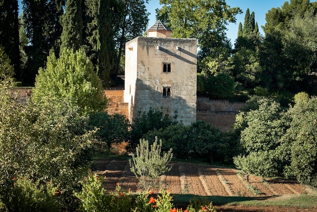 Viste del giardino dell'alhambra di granada in spagna