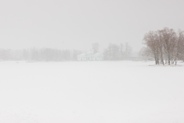 Viste di Catherine Park durante una tempesta di neve