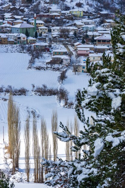 Viste innevate della foresta e del villaggio di Bozdag a Smirne, in Turchia