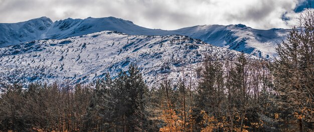 Viste meravigliose abbelliscono il fondo di una scena della montagna della neve dell'inverno