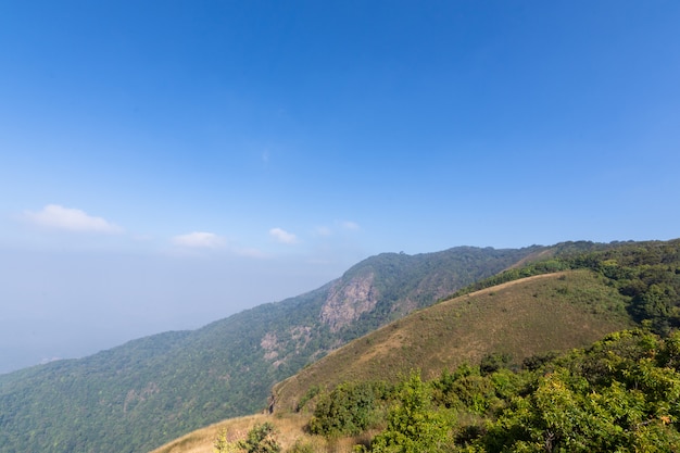 Viste naturali e alberi a Kew Mae Pan