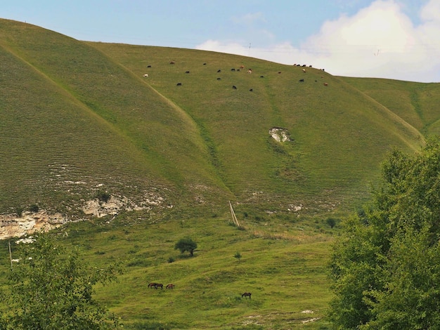 Viste panoramiche dal monte Bolshoye Sedlo al Parco Nazionale di Kislovodsk e alla città