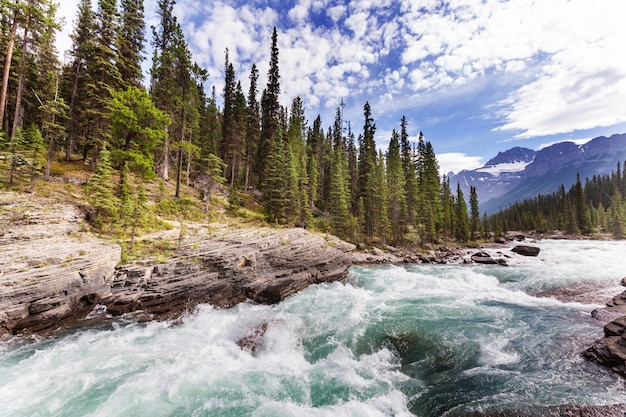 Viste panoramiche del fiume Athabasca, il Parco Nazionale di Jasper, Alberta, Canada