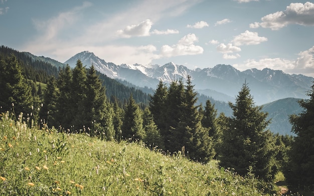 Viste panoramiche sulle montagne e sulla foresta e vette innevate nelle montagne del Kahastan