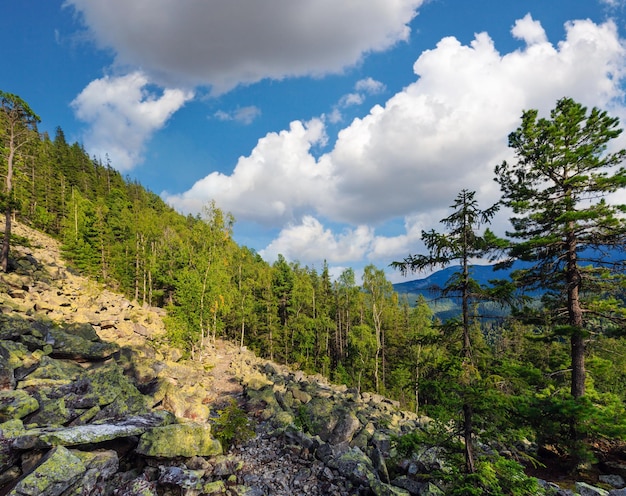 Visto delle montagne estive Carpati Ucraina