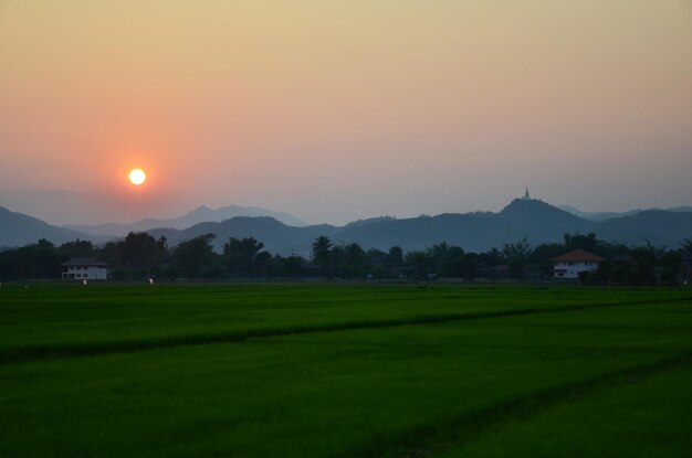 Visualizza il paesaggio agricolo e il campo di risone nel prato della fattoria del paesaggio urbano campagna rurale e collina di montagna per i thailandesi visita di viaggio all'alba mattutina nella città di Mae Khachan a Chiang Rai Thailandia