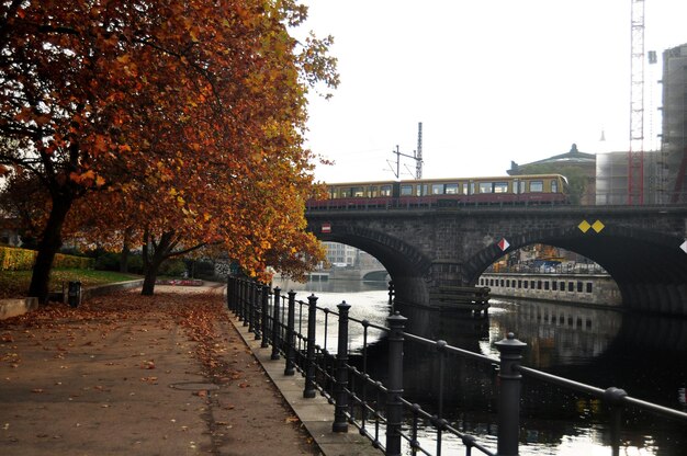 Visualizza il paesaggio del giardino con le reti del tram in autunno al parco pubblico nella città di Berlino il 9 novembre 2016 a Berlino Germania