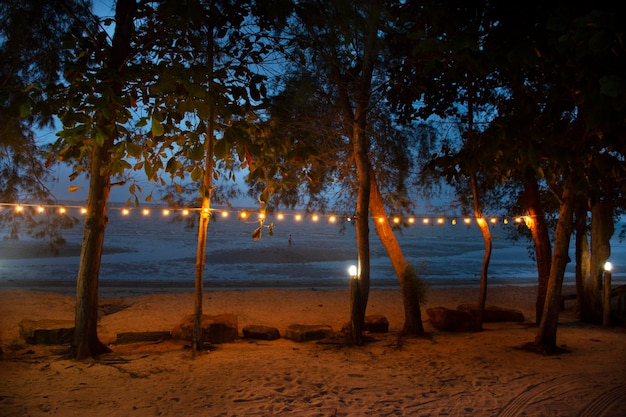 Visualizza il paesaggio della spiaggia di Phum Riang con il mare e la decorazione della lampada sull'albero nel resort a Phum Riang Beach ad Ao Thai o nel Golfo di Thailandia nel distretto di Chaiya a Surat Thani Thailandia