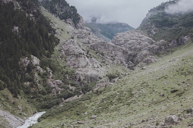 Visualizza le scene del fiume del primo piano in montagne, parco nazionale Svizzera, Europa. Paesaggio estivo, tempo soleggiato, cielo azzurro drammatico e giornata di sole