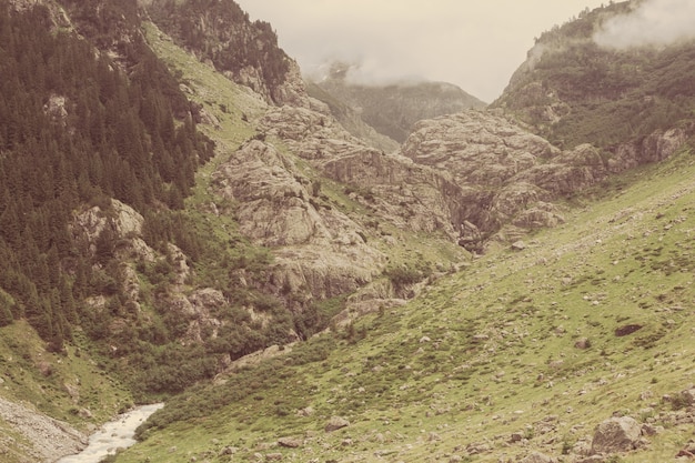 Visualizza le scene del fiume del primo piano in montagne, parco nazionale Svizzera, Europa. Paesaggio estivo, tempo soleggiato e giornata di sole