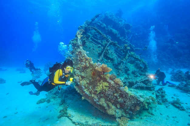 Vita marina nel Mar Rosso