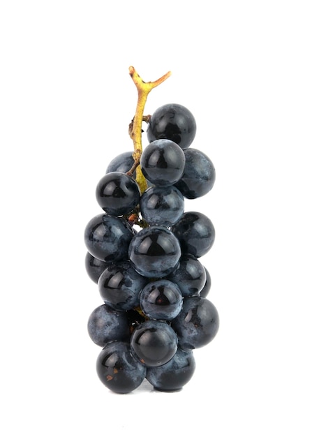 Viti d'uva