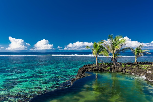 Vivace spiaggia tropicale con palme Upolu Samoa