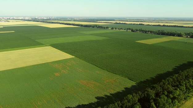 Volo aereo con drone su diversi campi agricoli seminati con varie culture agricole rurali. Vista dall'alto di terreni agricoli e piantagioni. Campi del paesaggio cultura agroindustriale. Campagna