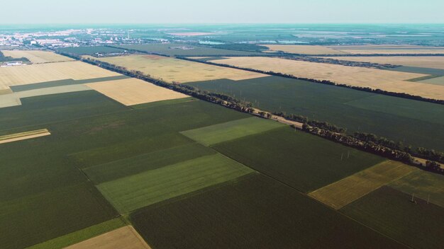 Volo aereo con drone su diversi campi agricoli seminati