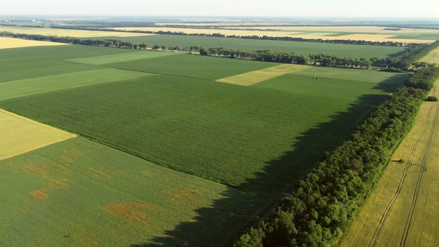 Volo aereo con drone su diversi campi agricoli