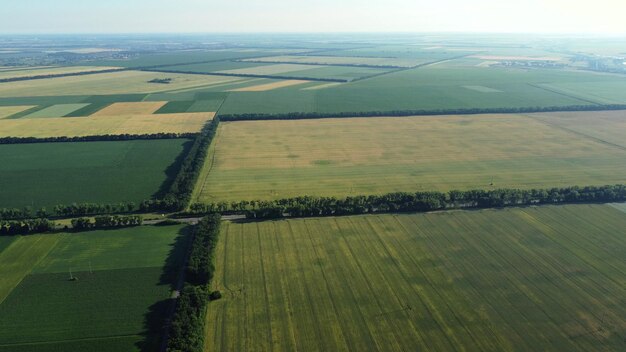 Volo aereo con drone su diversi campi agricoli