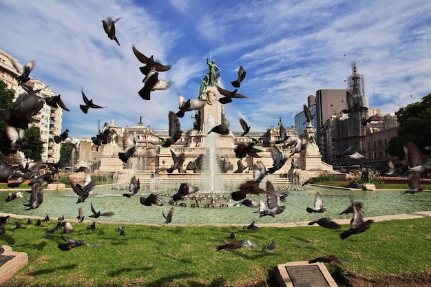 Volo degli uccelli a Buenos Aires, Argentina