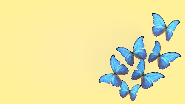 Volo di farfalle blu estate farfalla su sfondo chiaro rendering 3d