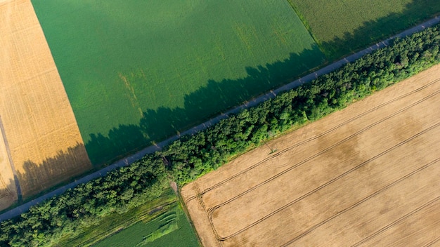 Volo di vista aerea del drone su diversi campi agricoli di colore giallo verde