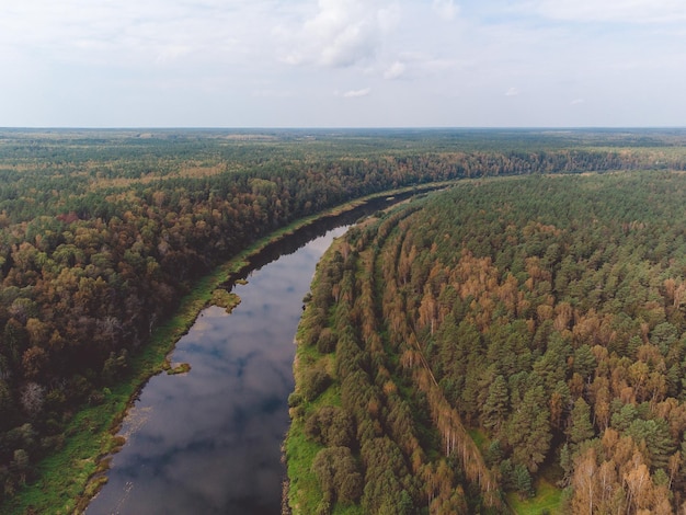 Volo sopra il fiume fiume nella foresta da una vista dall'alto a volo d'uccello