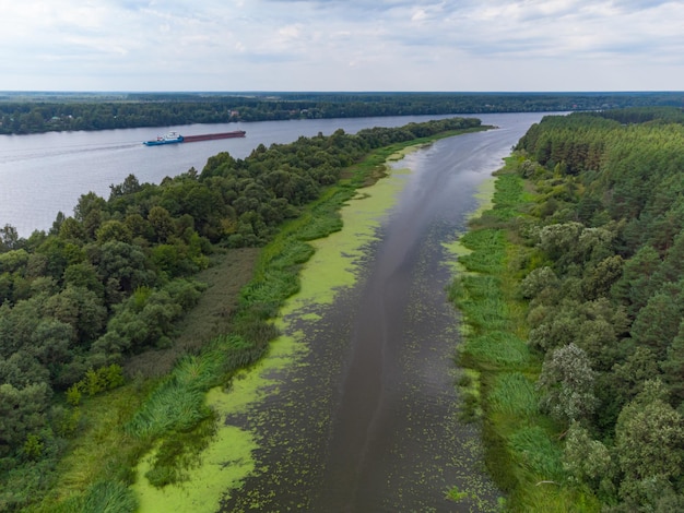 Volo sopra il fiume fiume nella foresta da una vista dall'alto con vista a volo d'uccello