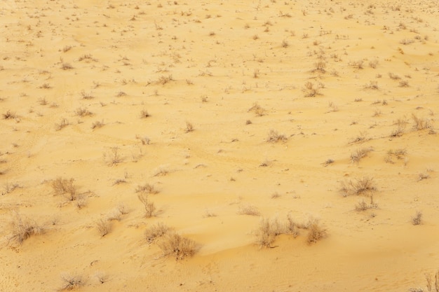 Volo sopra le dune nel deserto bellissima vista dall'alto del deserto di Kyzyl Kum in Kazakistan all'alba Paesaggi orientali dell'Asia centrale una zona arida senza vita e senza acqua