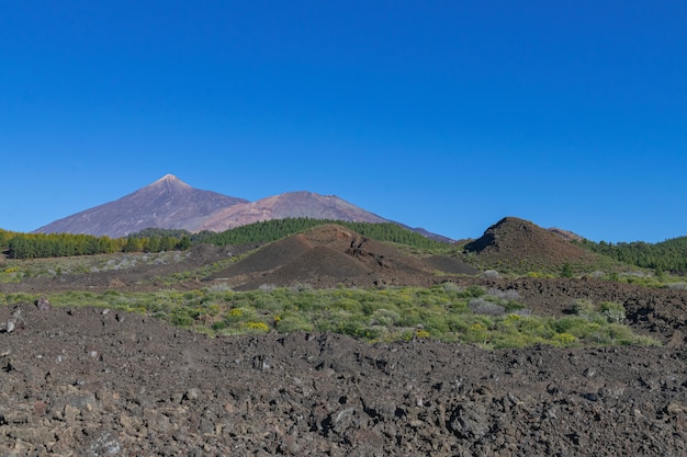 Vulcani di Teide e Montaña blanca, Tenerife, Isole Canarie, Spagna