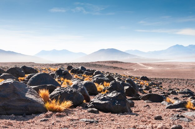 Vulcani nel deserto sull'altopiano Altiplano, Bolivia. Paesaggi del Sud America