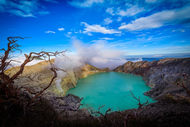 Vulcano di Kawah Ijen con alberi morti su cielo blu