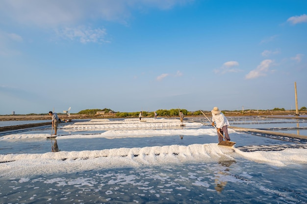 Vung Tau VIETNAM MAR 18 2023 Il processo del sale marino ottenuto da un mucchio di sale nella salina da parte di un lavoratore nell'area rurale dei campi di sale di Long Dien è una delle destinazioni più singolari del Vietnam