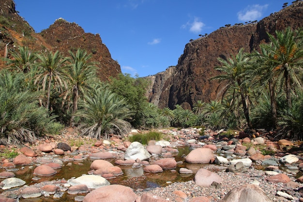 Wadi Dirhur Canyon, isola di Socotra, Oceano Indiano, Yemen