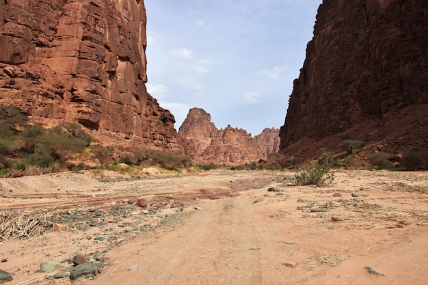 Wadi Disah nel canyon di Al Shaq dell'Arabia Saudita