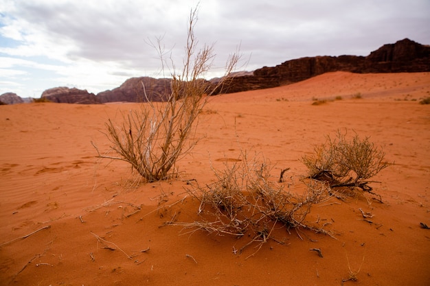 Wadi Rum Desert in Giordania