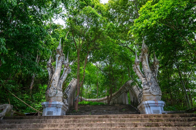 Wat Analayo Thipphayaram o Tempio di Analayo si trova a Doi Busarakam, provincia di Phayao, Thailandia