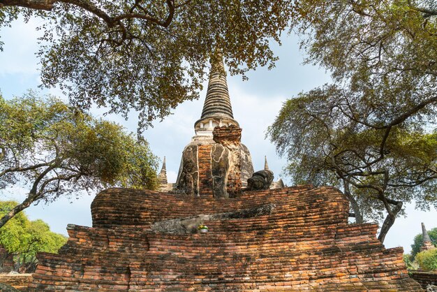 Wat Phra Sri Sanphet tempio nel distretto del Parco storico di Sukhothai, un sito patrimonio mondiale dell'UNESCO ad Ayutthaya, Thailandia