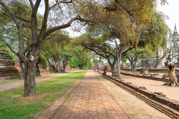 Wat Phra Sri Sanphet tempio nel distretto del Parco storico di Sukhothai, un sito patrimonio mondiale dell'UNESCO ad Ayutthaya, Thailandia