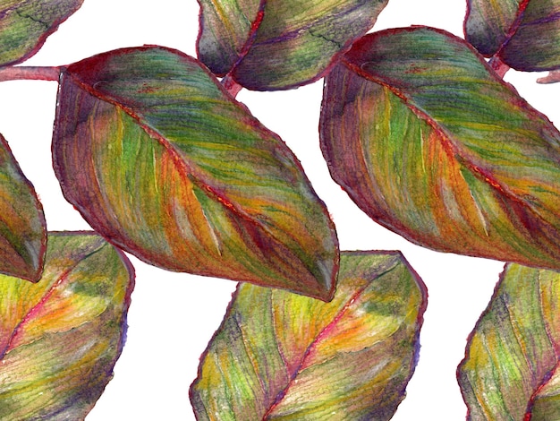 Watercolor Leaves Seamless Pattern.  Exotic Hawaiian Design. Upholstery Texture. Watercolor Floral Background. Tropical Summer Rapport. Swimwear Print with Tropical Leaves. Monochrome and Greyscale