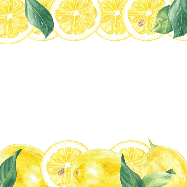 Watercolor lemon frame hand-painted in botanical style. Border tropic fruit lime slice, leaf.