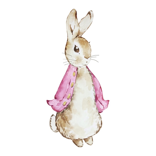 Watercolor Peter Rabbit in a Pink Jacket illustration