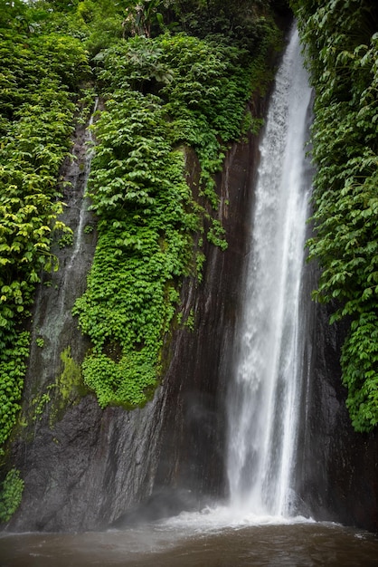 Waterfal nella foresta tropicale a Bali Indonesia