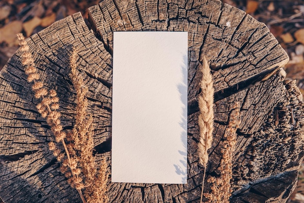 Wedding invitationmockup in stile stock photography Foglio di carta bianco per la presentazione della tua arte