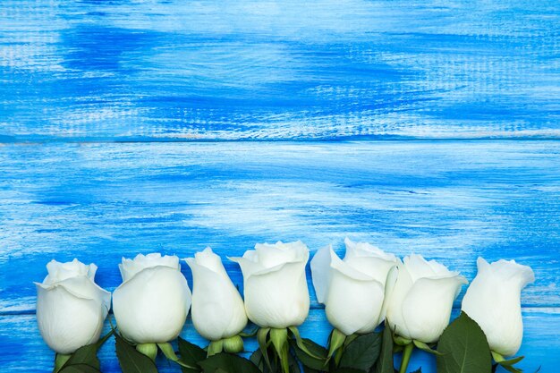 White Rose Un bouquet di rose delicate su uno sfondo blu in legno Posto per il primo piano del testo Sfondo romantico per le vacanze di primavera