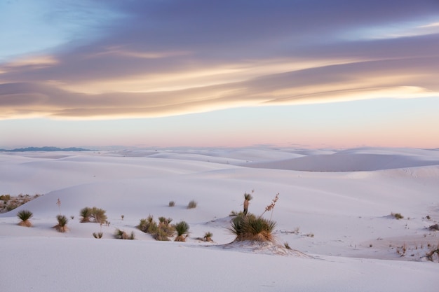 White Sands Dunes nel Nuovo Messico, Stati Uniti d'America