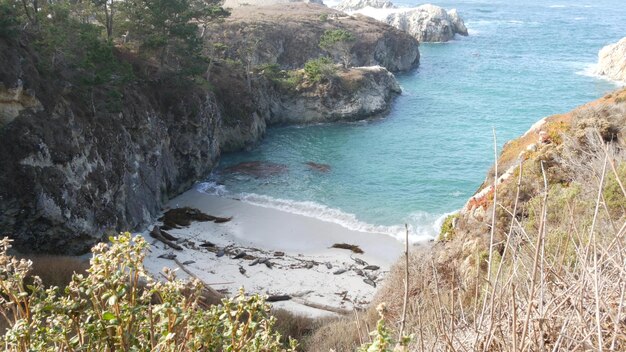 Wild macchiato foca rookery porto del pacifico leone marino che riposa sulla spiaggia della california