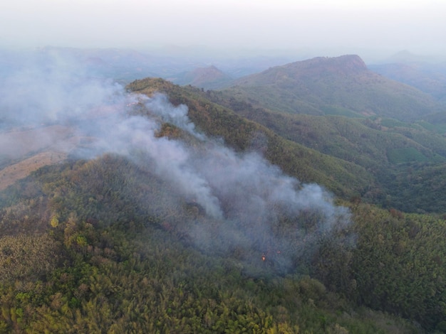 Wildfire sul fuoco di montagna che brucia foresta foresta di bambù secca in asiatico in estate vista aerea incendio boschivo albero che brucia con nebbia di smog in onda pm25 concetto di riscaldamento globale