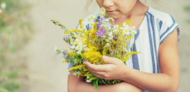 Wildflowers della holding della ragazza nelle mani di un bambino. Messa a fuoco selettiva.