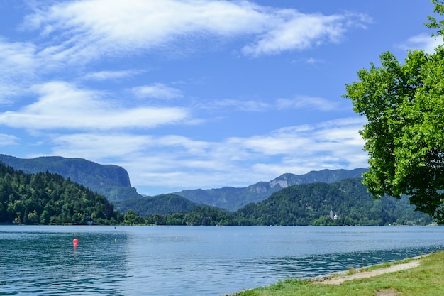 Wildlife. Lago di montagna in una giornata di sole