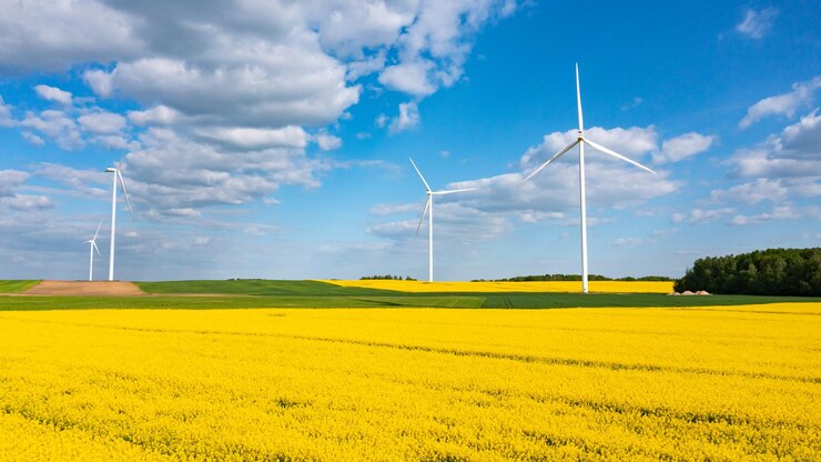Wind turbines for electric power production view from drone