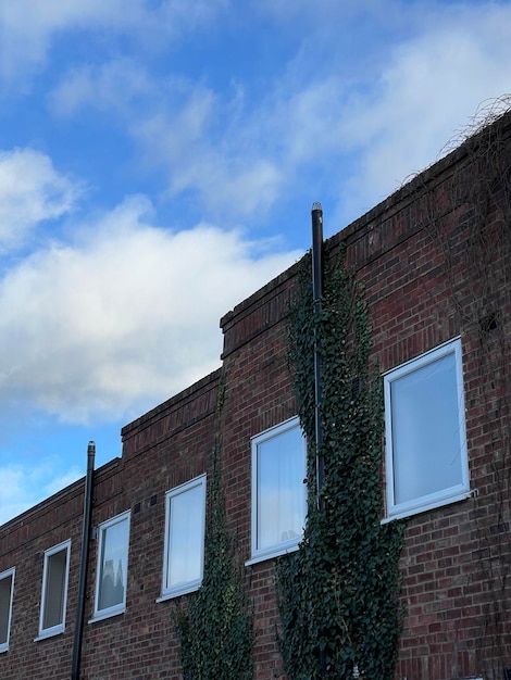 Windows dell'edificio residenziale in mattoni che riflette il cielo blu